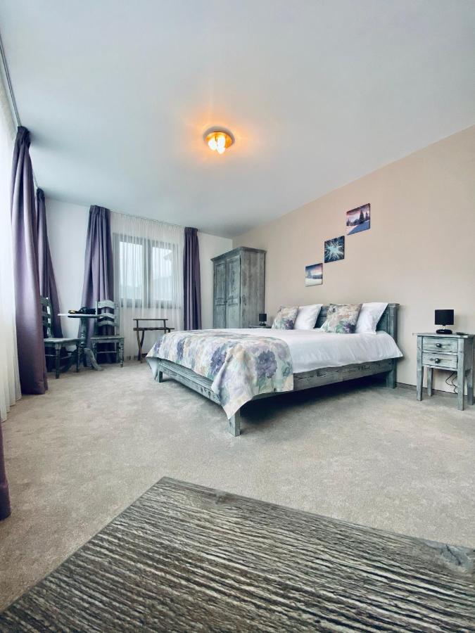 Casa Ankeli Bed and Breakfast Buşteni Εξωτερικό φωτογραφία