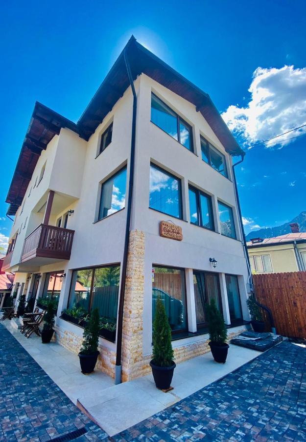 Casa Ankeli Bed and Breakfast Buşteni Εξωτερικό φωτογραφία