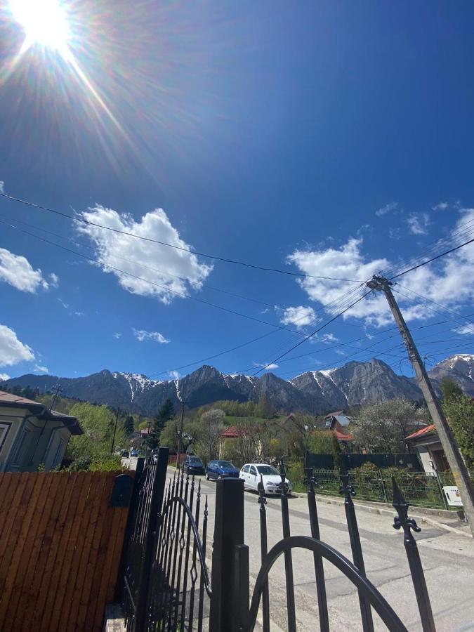 Casa Ankeli Bed and Breakfast Buşteni Εξωτερικό φωτογραφία