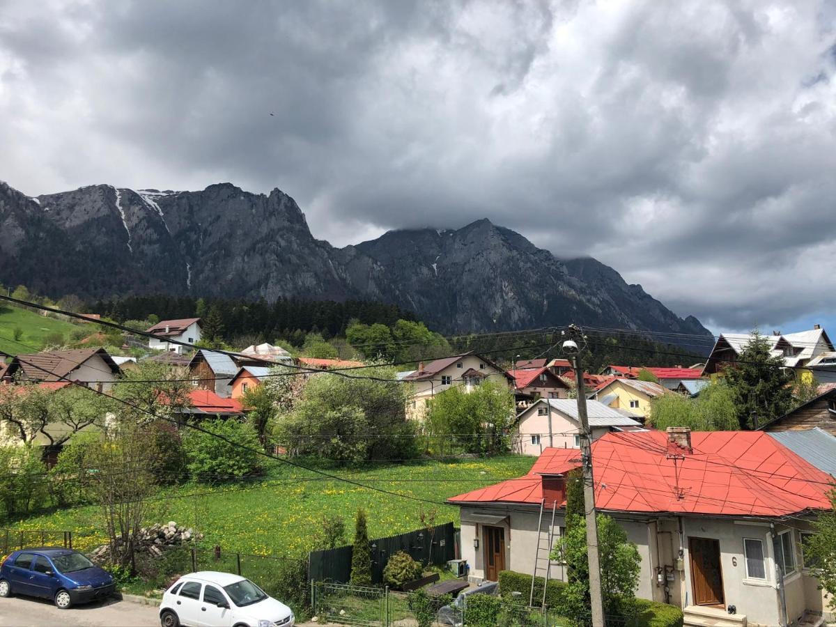 Casa Ankeli Bed and Breakfast Buşteni Εξωτερικό φωτογραφία