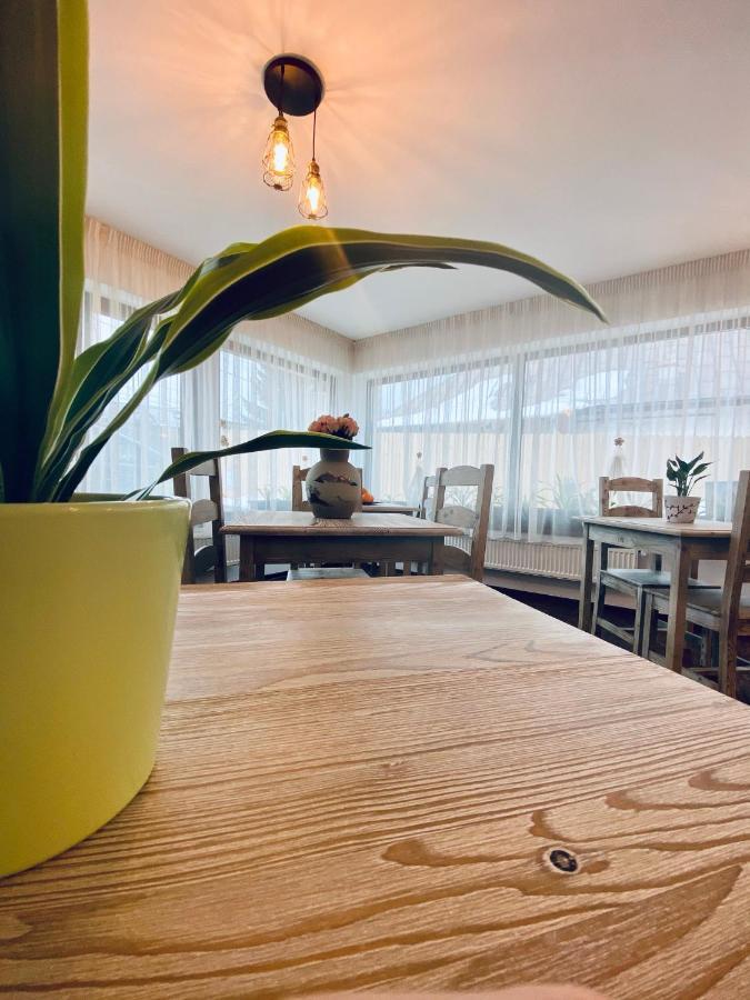 Casa Ankeli Bed and Breakfast Buşteni Εξωτερικό φωτογραφία